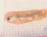ササミのクリームチーズと海苔佃煮挟み焼き作り方6写真