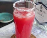 すいかのソルティードッグ☆（ジュース）作り方5写真
