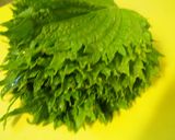 大量消費に♪青シソのかき揚げ作り方1写真