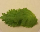しらすとチーズの焼き春巻作り方1写真