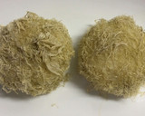 簡単♪トトロキャラ弁　まっくろくろすけ作り方4写真