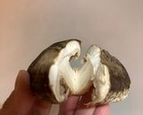 簡単!きのこのバターしょうゆ炒め作り方1写真