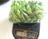 水で5分！枝豆農家直伝簡単美味しい茹で方作り方6写真