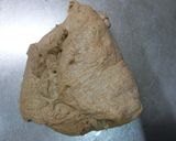 【小麦ふすま発酵種】もっちりふすまﾊﾟﾝ作り方11写真