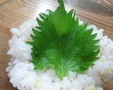 簡単鮮やか♪ *塩レモンでポキ丼*作り方3写真