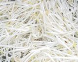 香味ペースト使用！豆もやしの酸辣ナムル！作り方6写真