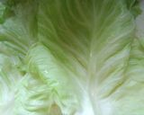 肉だね不要！時短ロールキャベツ♬作り方1写真