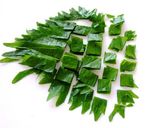 夏野菜の一夜漬け作り方6写真