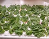 便利なシソ酢作り方1写真