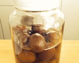 丁寧に梅シロップ作り方9写真