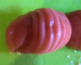 塩レモン　カプレーゼ作り方5写真