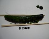 きゅうりの蛇腹漬け1作り方4写真