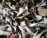 舞茸と鶏肉の中華炒め作り方5写真