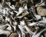 舞茸と鶏肉の中華炒め作り方5写真