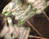 ししとう大量消費！ししとうの辛子天ぷら作り方5写真