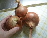 あめ色玉ねぎ作り方1写真
