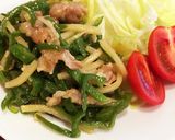 豚肉で青椒肉絲風作り方6写真