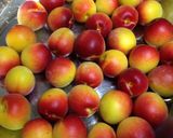 南高梅の甘露煮(青梅でも)作り方1写真
