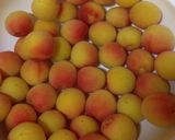 南高梅の甘露煮(青梅でも)作り方4写真
