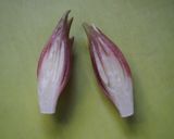 大量消費に♪ミョウガの味噌煮作り方2写真