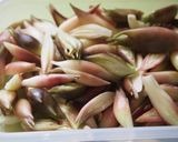 大量消費に♪ミョウガの味噌煮作り方3写真