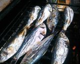 サッパの酢〆その1ママカリ作り方3写真
