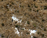 旨みと刺激がおいしいちりめん山椒作り方7写真