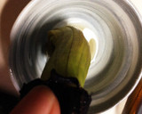 丸ごとナスのレンジで簡単煮浸し風作り方5写真