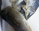 ノルウェー塩サバで・自家製シーチキン作り方3写真