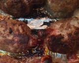 マンガ肉風メキシカンバーグ作り方5写真
