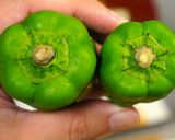 一手間が違いを生む!プロ味の極み野菜炒め作り方8写真