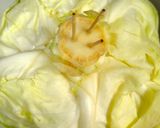 一手間が違いを生む!プロ味の極み野菜炒め作り方6写真