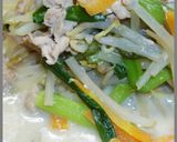 ダイエットしらたき肉増し豆乳ちゃんぽん麺作り方17写真