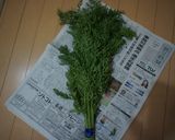 人参の葉っぱの胡麻和え作り方1写真