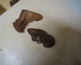 きゅうりと生きくらげの炒め物作り方2写真