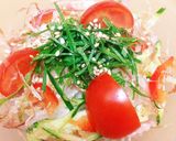 青ナスでサッパリ☆簡単夏野菜サラダ作り方5写真