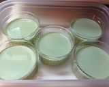 夏休み✿親子で作ろう♬お茶ムース風ゼリー作り方4写真