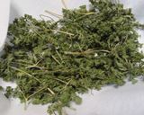 天日干しで作る…「パセリの粉末」作り方2写真