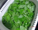 冷凍保存可♪美味しいバジルペースト作り方3写真