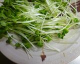 豚肉の冷しゃぶ(かいわれ＆玉ねぎ添え)作り方1写真