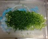 ネギたっぷり!ゆし豆腐作り方3写真