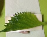 簡単チーズ春巻き作り方3写真