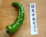 氷トマトdeだしそうめん作り方1写真
