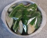レンジとめんつゆで簡単♪なすの煮浸し作り方2写真
