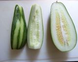 漬け物だけじゃない☆かりもりペペロン作り方1写真