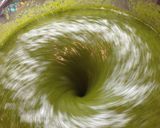 バジルで♪ジェノベーゼソース♪作り方11写真