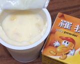 材料3つ-マンゴーヨーグルトプリン作り方1写真
