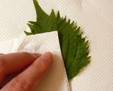 爽やか♡大葉シフォンケーキ♡作り方1写真