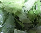 青紫蘇の佃煮　簡単　保存　甘口　 普通作り方2写真