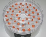 簡単飾り付け☆食品乾燥機で乾燥かざり野菜作り方3写真